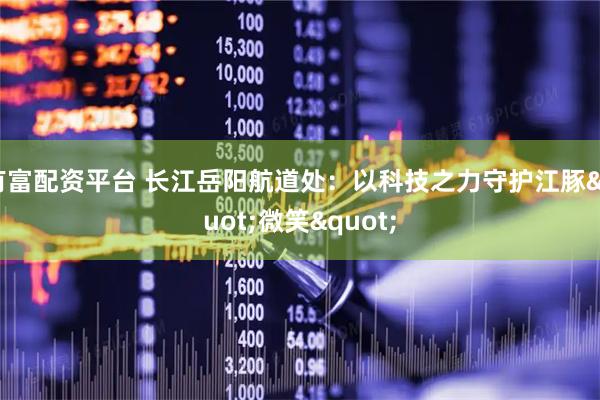 有富配资平台 长江岳阳航道处：以科技之力守护江豚"微笑"